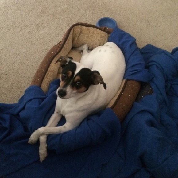 PFACTOR Quality Products @ Bargain Prices - Picture 7 of 12